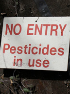Growing Up with Pesticides