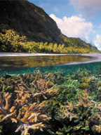Climate Change Adaptation: Designer Reefs